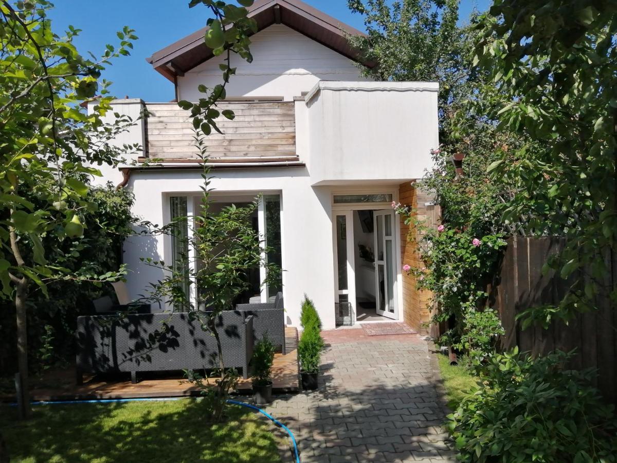 Casa Scheiana Bed and Breakfast Braşov Exteriör bild