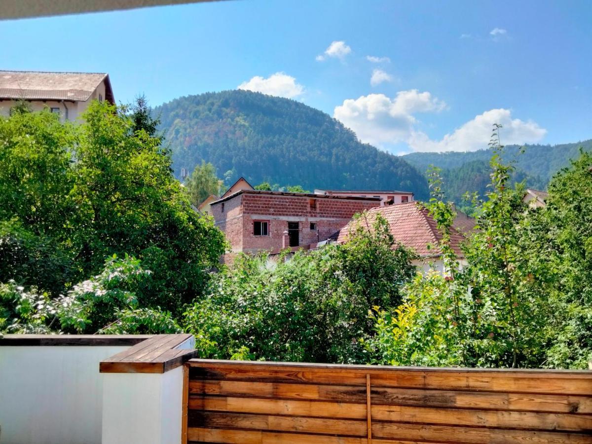 Casa Scheiana Bed and Breakfast Braşov Exteriör bild