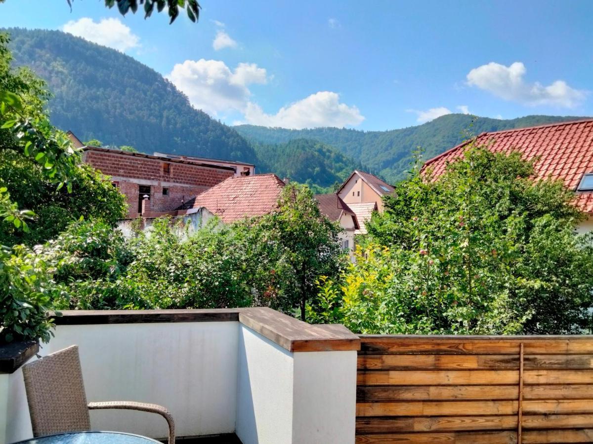 Casa Scheiana Bed and Breakfast Braşov Exteriör bild